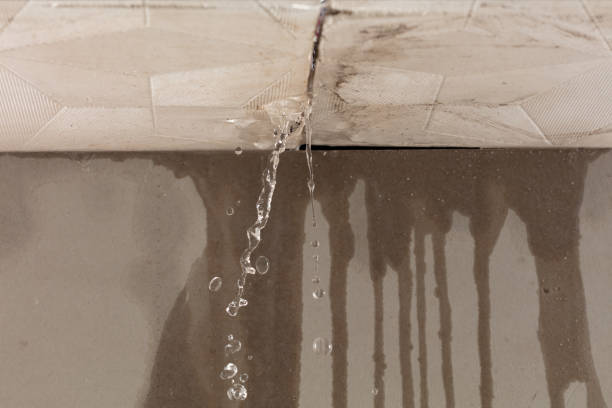Professional Sewage Cleanup technician working in Harrietta, MI